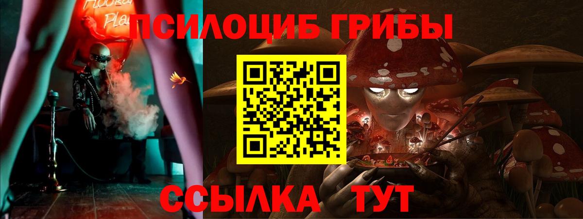 Галлюциногенные грибы GOLDEN TEACHER  Вход с VPN  Галлюциногенные грибы мухоморы  Сертолово 