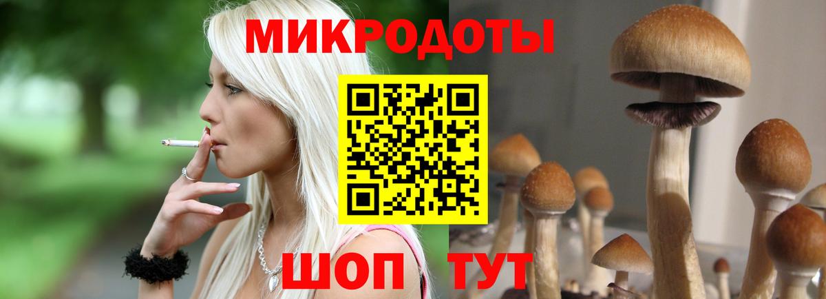 Псилоцибиновые грибы GOLDEN TEACHER Сертолово